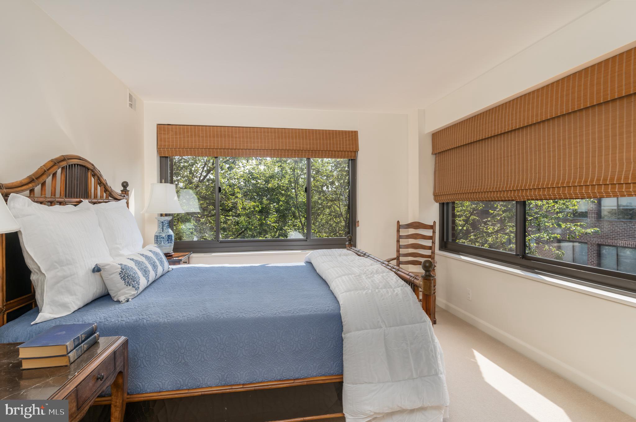 1077 30th Street Northwest, Unit 606 Washington, DC 20007 - Photo 18 of 30 Second Bedroom with foliage view
