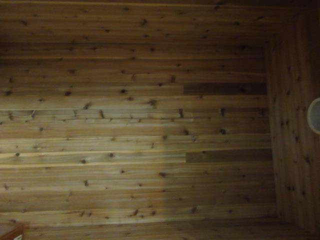 5267 Concord Road Springfield, TN 37172 - Photo 14 of 20 Cedar Closet in Basement