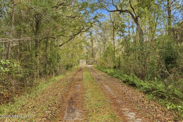 a view of a yard with plants and trees