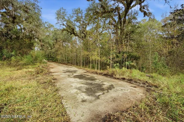 a view of a yard with a tree