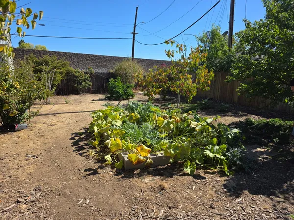 a view of a backyard with sitting area