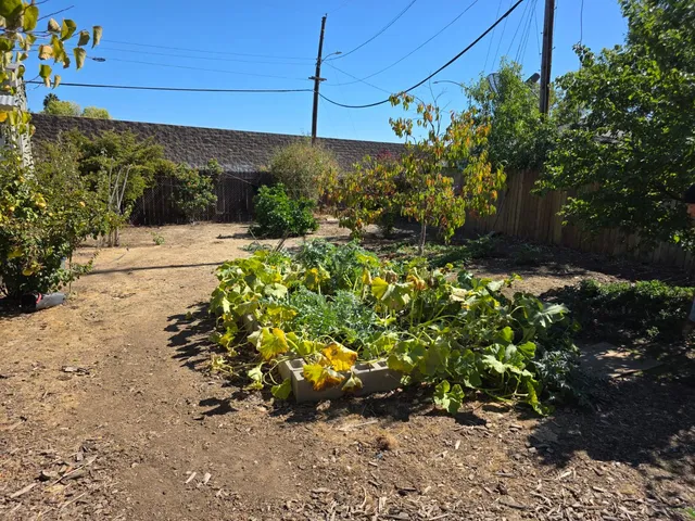 a view of a backyard with sitting area