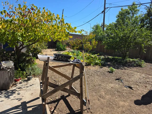 a view of a backyard with potted plants and large trees