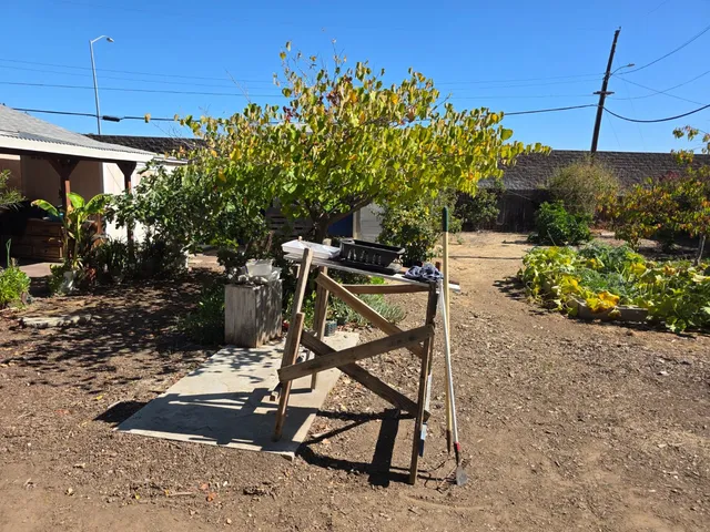 a front view of a building with garden