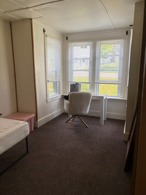 1 Reynolds Street Alfred, NY 14802 - Photo 16 of 38