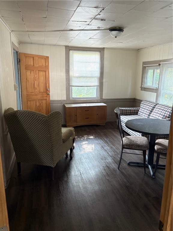 1 Reynolds Street Alfred, NY 14802 - Photo 28 of 39