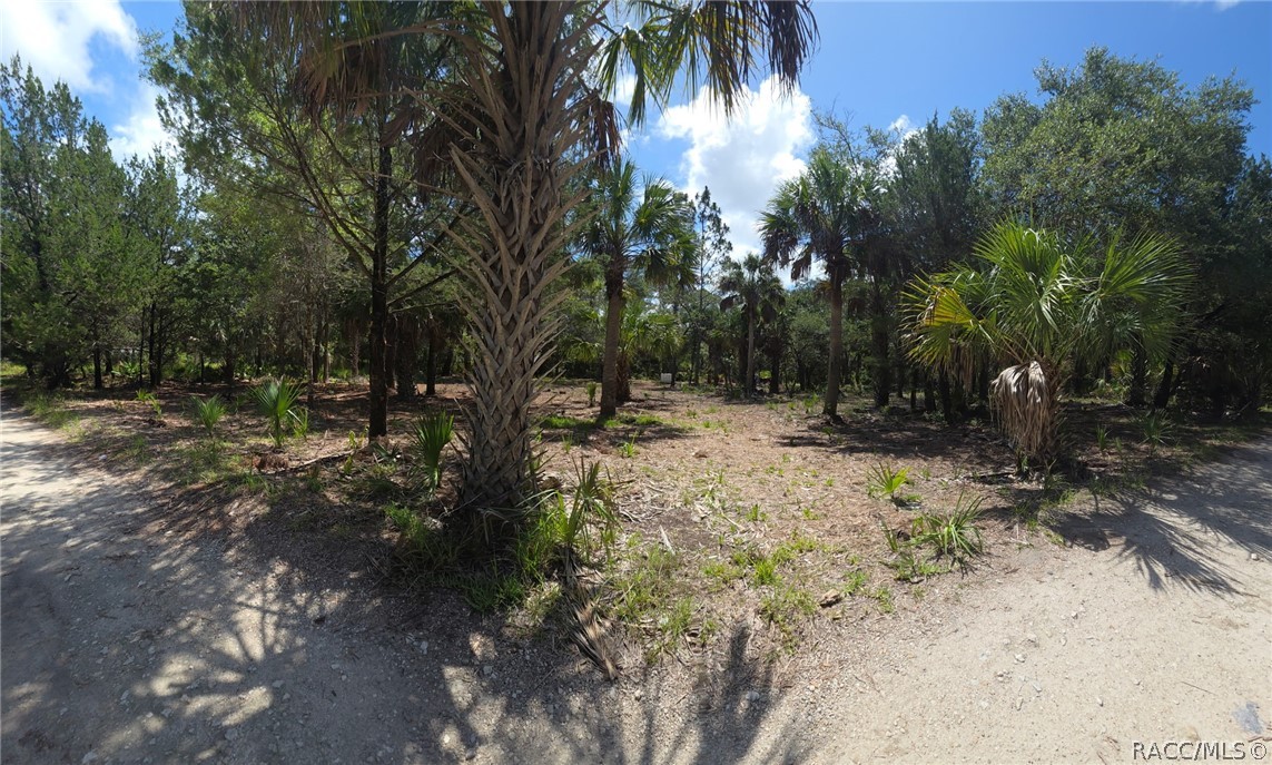 11345 North Moonlight Terrace Inglis, FL 34449 - Photo 4 of 11