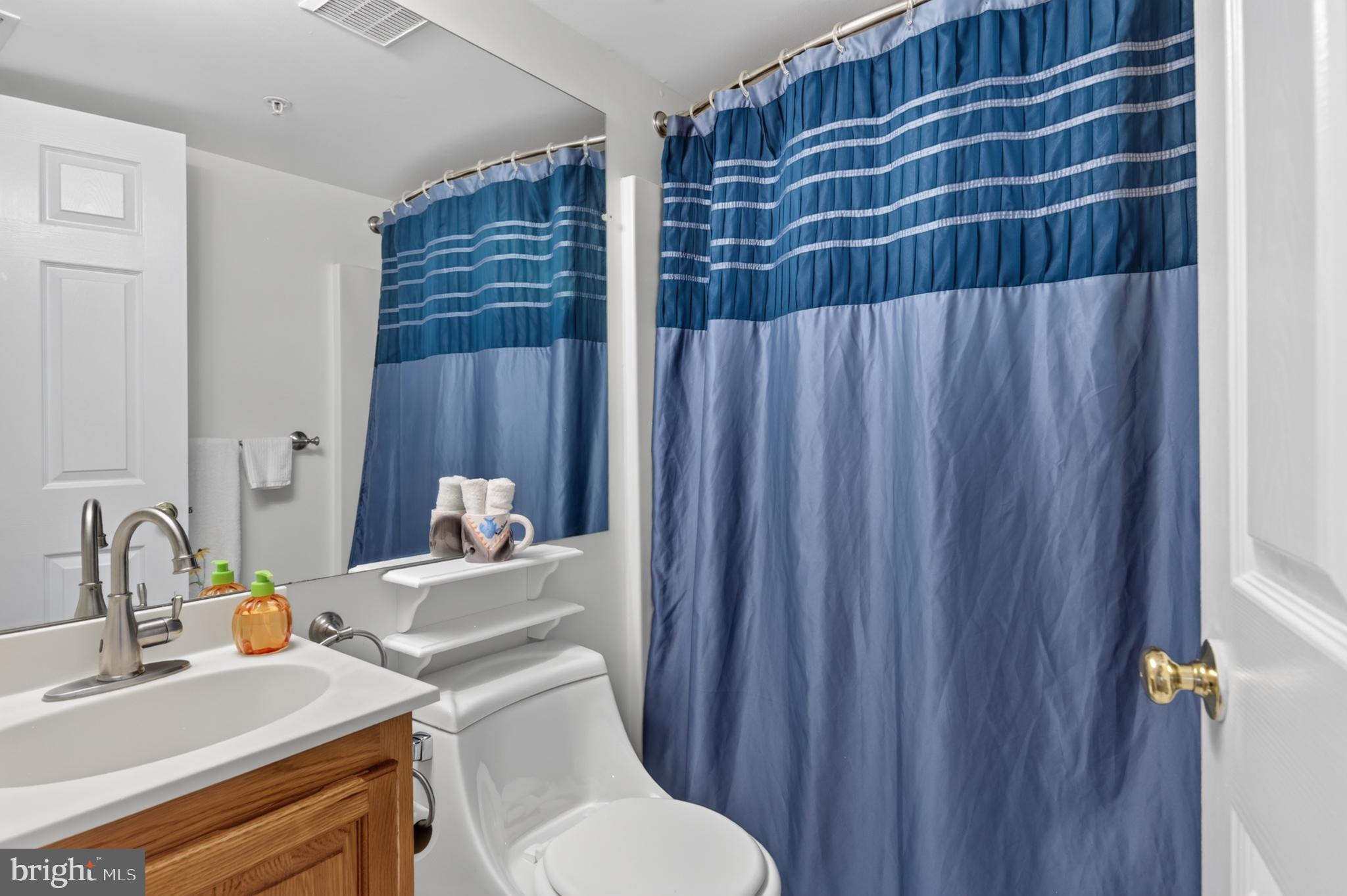 936 Bay Ridge Avenue, Unit 201 Annapolis, MD 21403 - Photo 38 of 40 a bathroom with a sink a toilet and shower curtain