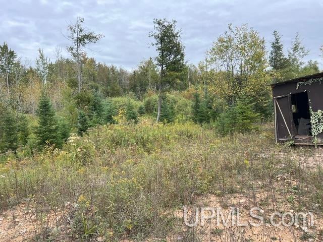 Tbd Oro Road Spalding, MI 49886 - Photo 16 of 22 Gallery Image 16
