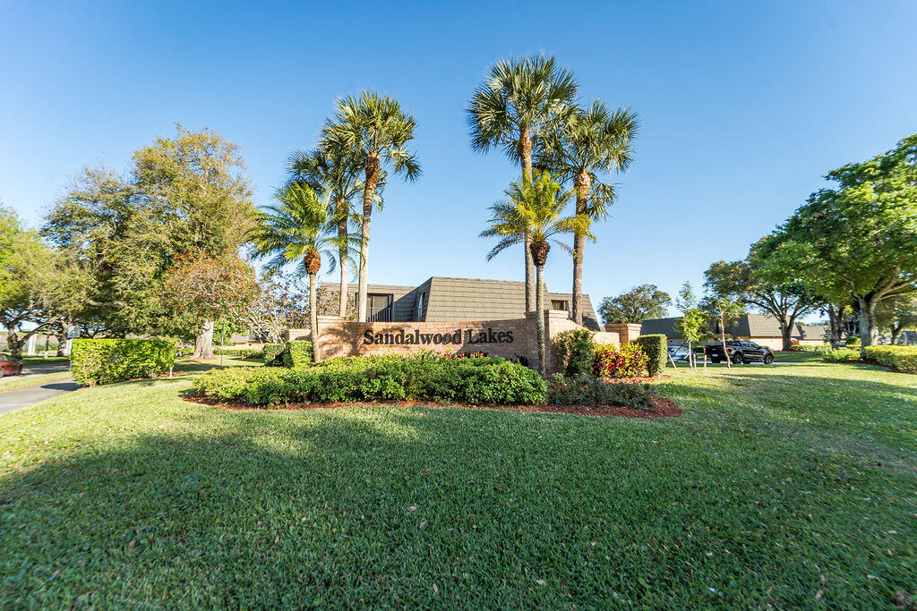 a view of a garden with trees