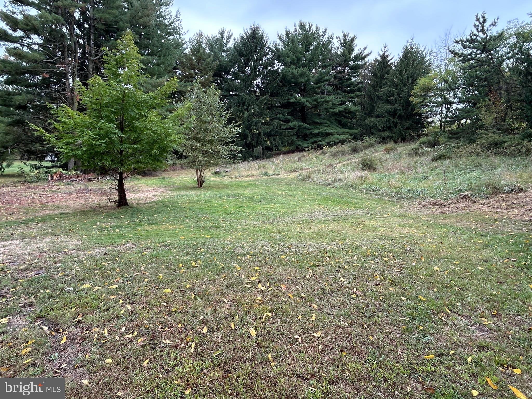 1733 Ridgewood Road York, PA 17406 - Photo 75 of 82 Gallery Image 75