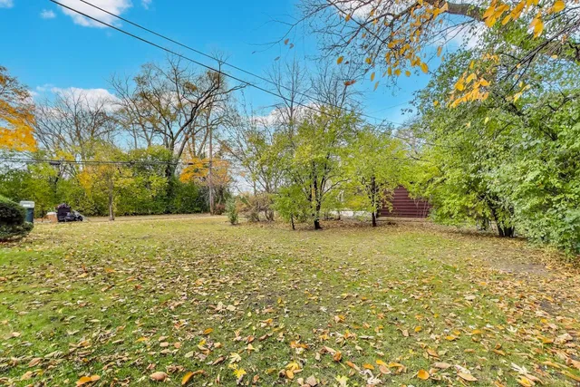 a view of a field with trees