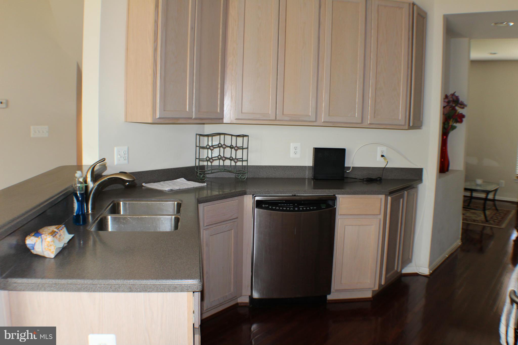 9149 Ribbon Falls Loop Bristow, VA 20136 - Photo 14 of 28 Kitchen