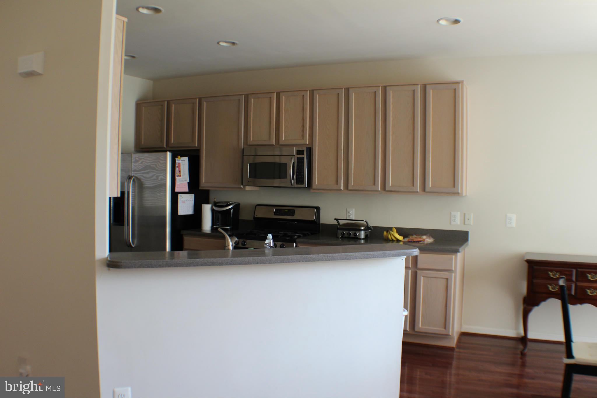 9149 Ribbon Falls Loop Bristow, VA 20136 - Photo 16 of 28 Kitchen