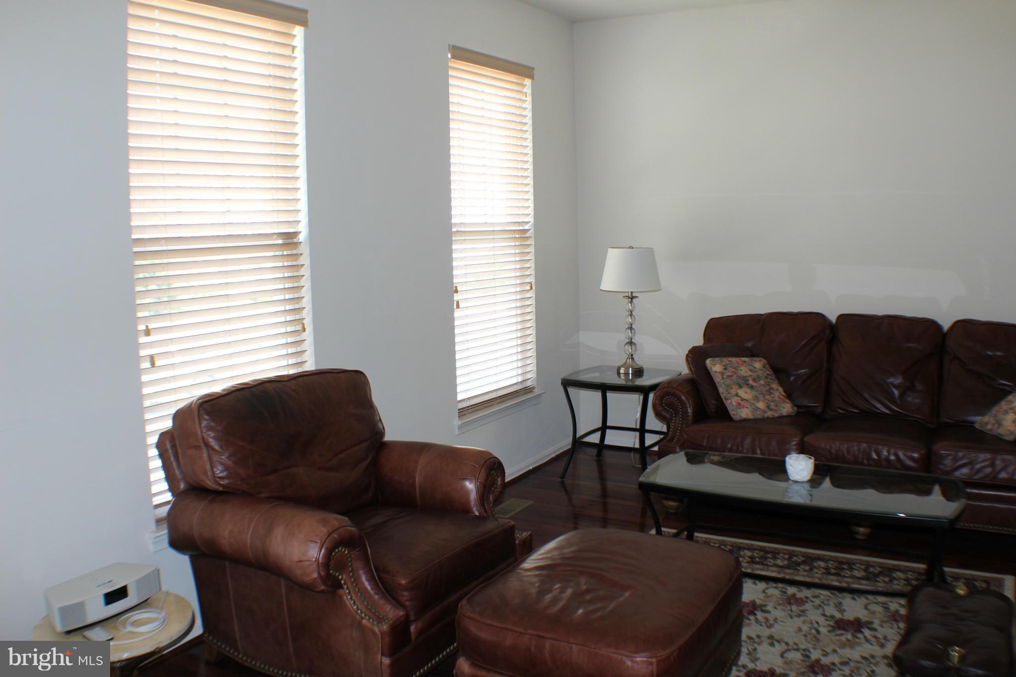 9149 Ribbon Falls Loop Bristow, VA 20136 - Photo 19 of 28 Living Room