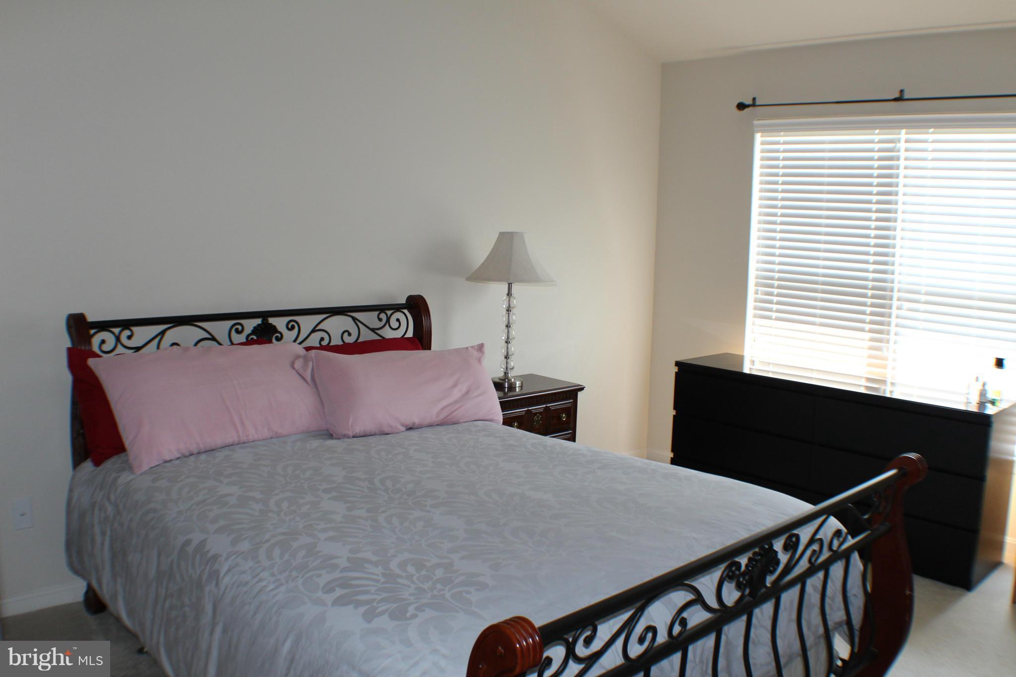 9149 Ribbon Falls Loop Bristow, VA 20136 - Photo 22 of 28 Bedroom (Master)