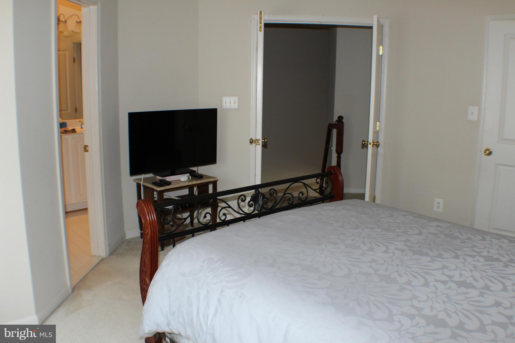 9149 Ribbon Falls Loop Bristow, VA 20136 - Photo 24 of 28 Bedroom (Master)