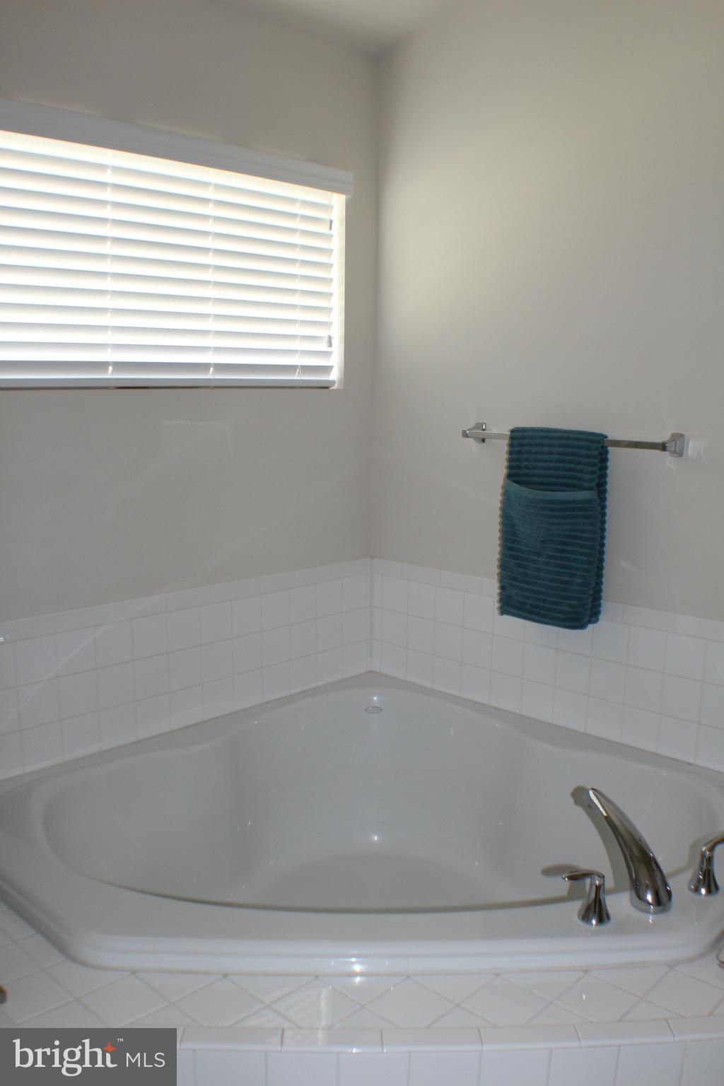 9149 Ribbon Falls Loop Bristow, VA 20136 - Photo 25 of 28 Bath (Master)