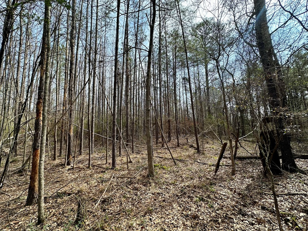 2232 Providence Road Roxie, MS 39661 - Photo 25 of 57 Photo 25