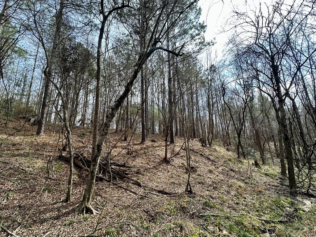 2232 Providence Road Roxie, MS 39661 - Photo 27 of 57 Photo 27