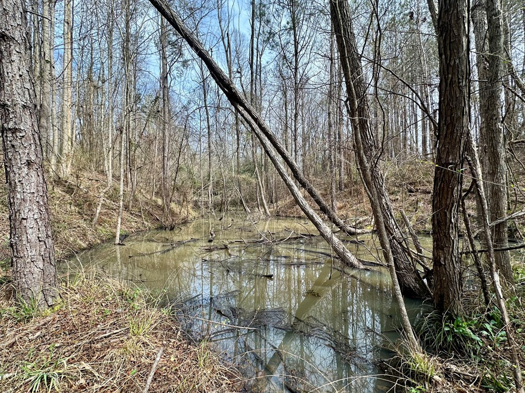 2232 Providence Road Roxie, MS 39661 - Photo 28 of 57 Photo 28