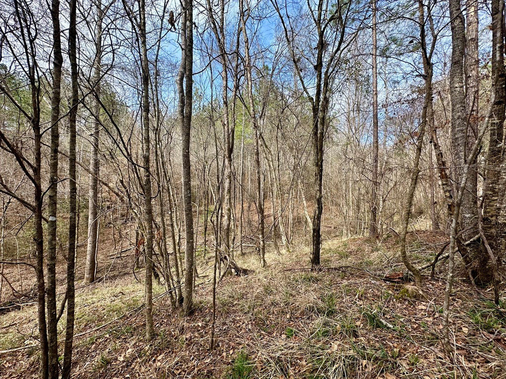 2232 Providence Road Roxie, MS 39661 - Photo 30 of 57 Photo 30
