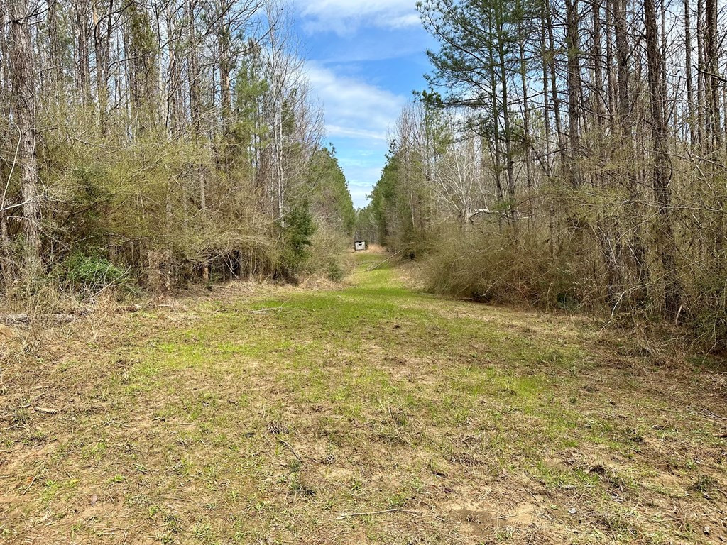 2232 Providence Road Roxie, MS 39661 - Photo 44 of 57 Photo 44