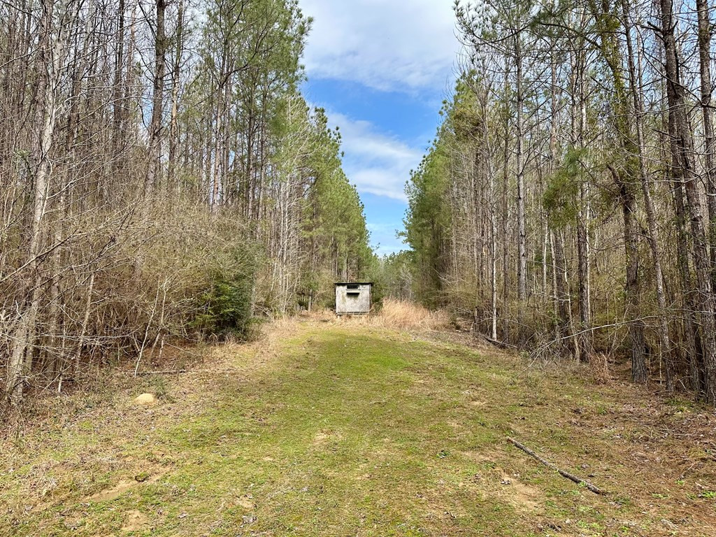 2232 Providence Road Roxie, MS 39661 - Photo 45 of 57 Photo 45