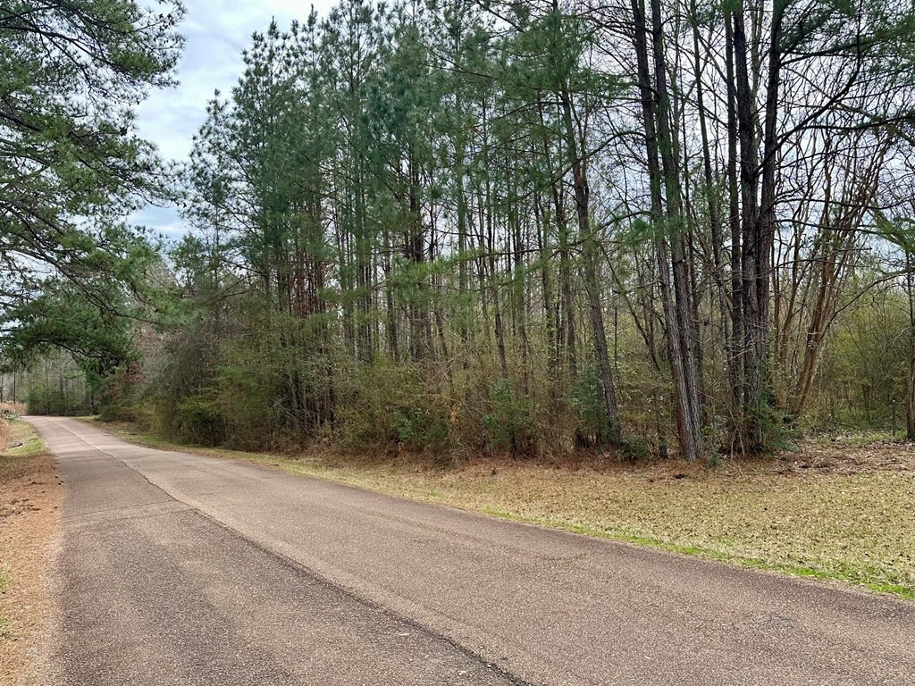 2232 Providence Road Roxie, MS 39661 - Photo 46 of 57 Photo 46