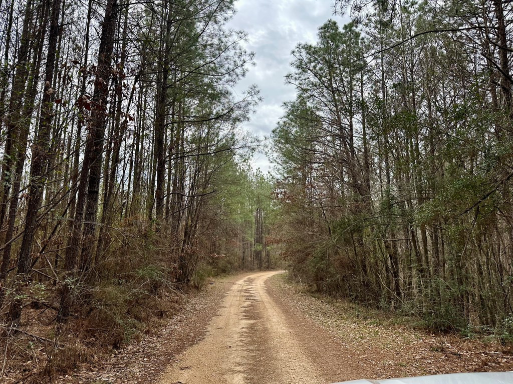 2232 Providence Road Roxie, MS 39661 - Photo 47 of 57 Photo 47