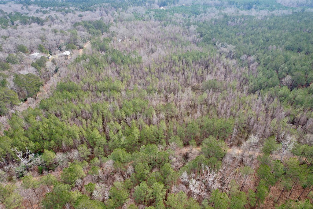 2232 Providence Road Roxie, MS 39661 - Photo 53 of 57 Photo 53