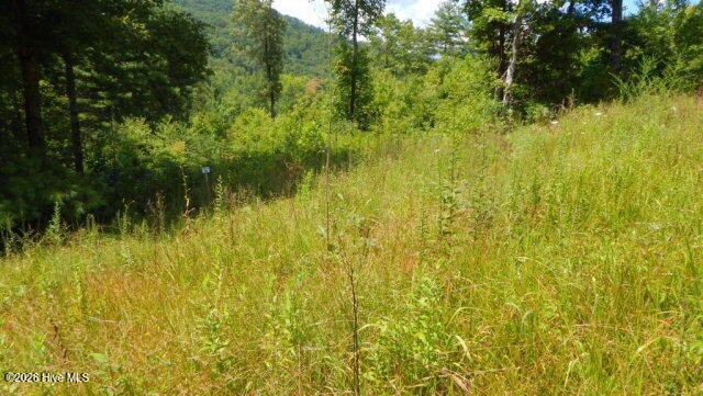 Lot 16 Tyler Ridge Murphy, NC 28906 - Photo 5 of 6