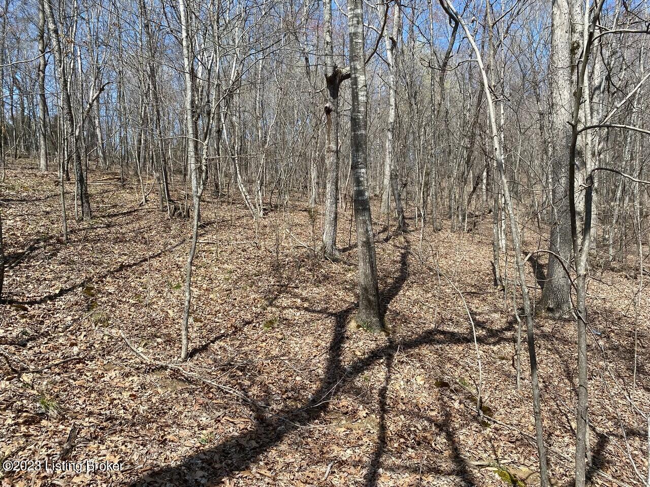 5970 Rabbit Flat Road Caneyville, KY 42721 - Photo 6 of 15 14.6 Acres4