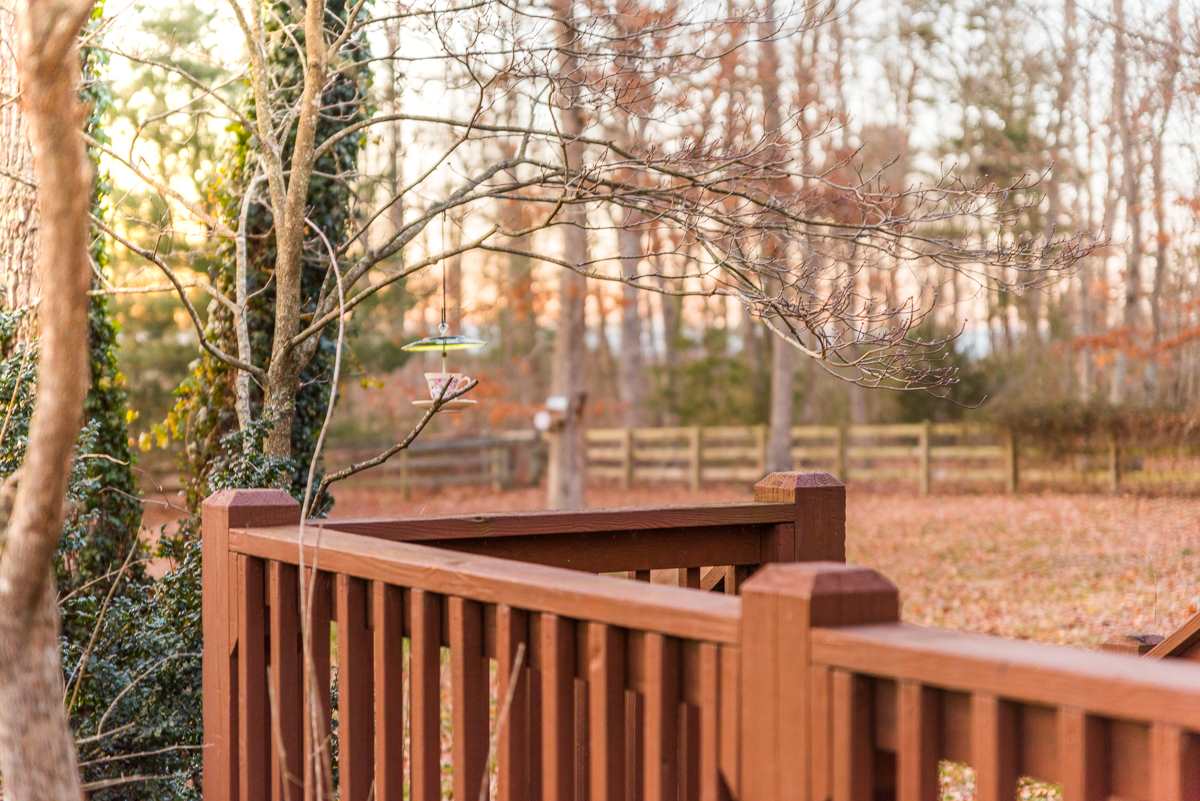 403 Purple Cow Road Waynesboro, VA 22980 - Photo 3 of 50 a view of a yard with wooden fence and trees