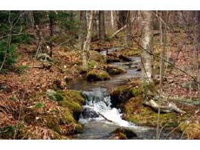 43 Winding Brook Road Newbury, NH 03255 - Photo 4 of 4