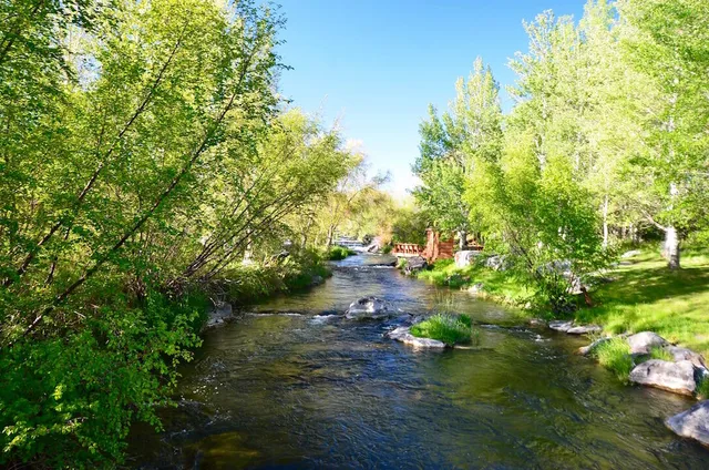 $9,000,000 | 249 Priest Road, Carey, ID 83320