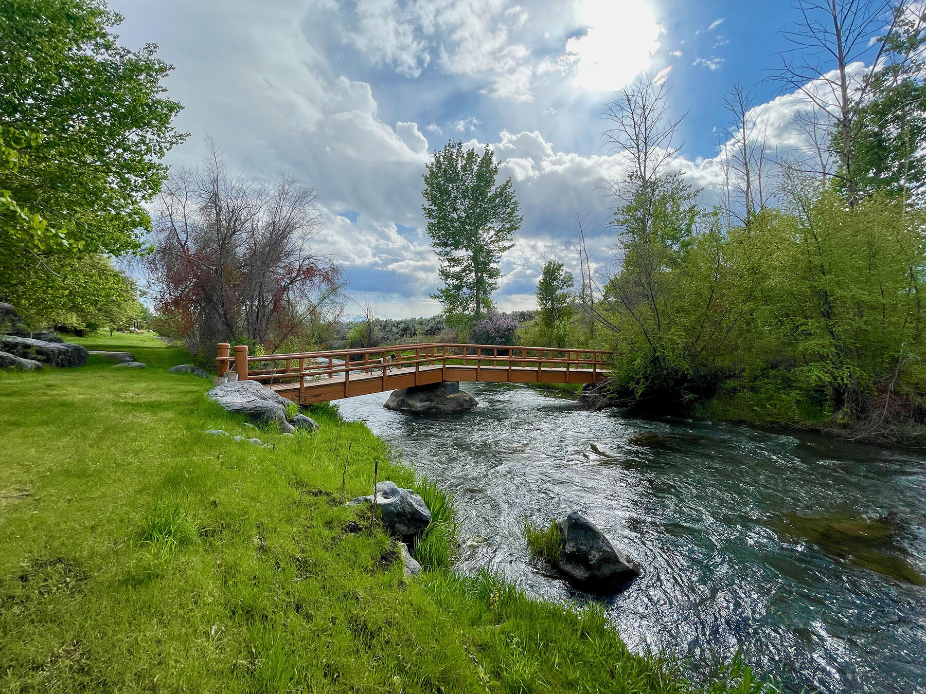249 Priest Road Carey, ID 83320 - Photo 25 of 28 north-renegade-71
