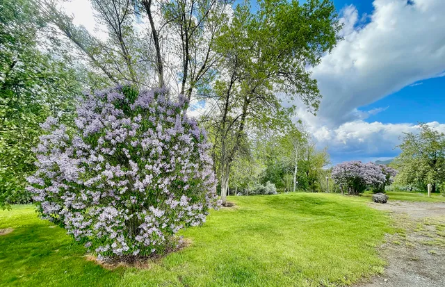 $9,000,000 | 249 Priest Road, Carey, ID 83320