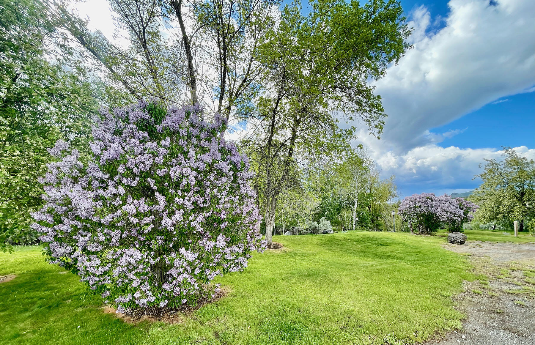 249 Priest Road Carey, ID 83320 - Photo 26 of 28 north-renegade-72