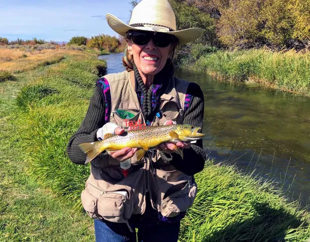 $9,000,000 | 249 Priest Road, Carey, ID 83320