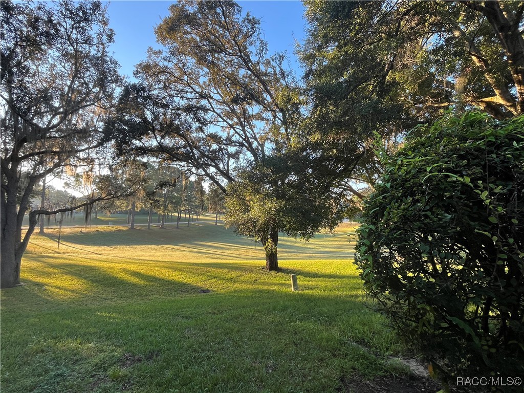 2347 North Putnam Point Hernando, FL 34442 - Photo 4 of 23