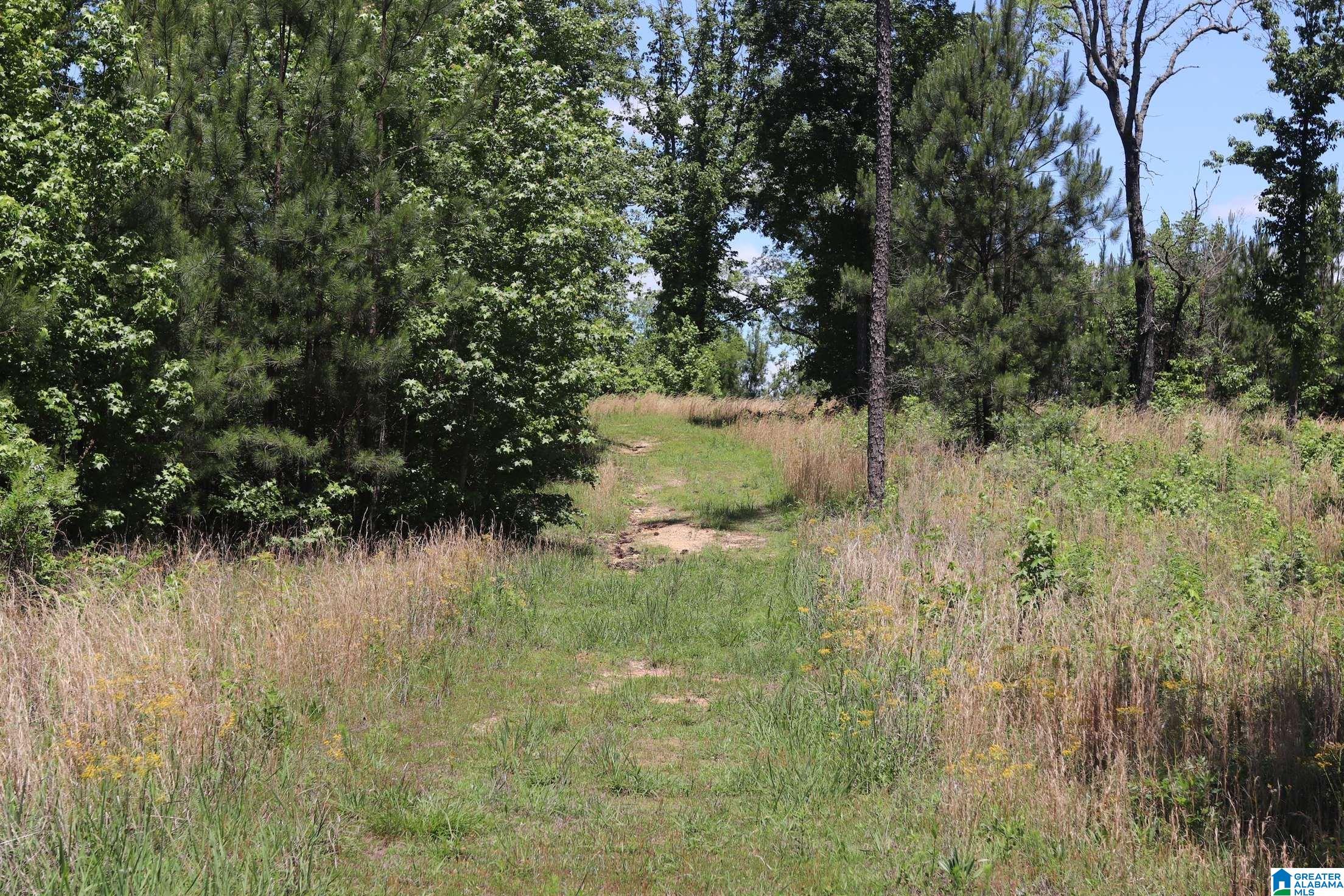 2930 Shocco Springs Road Talladega, AL 35160 - Photo 79 of 93