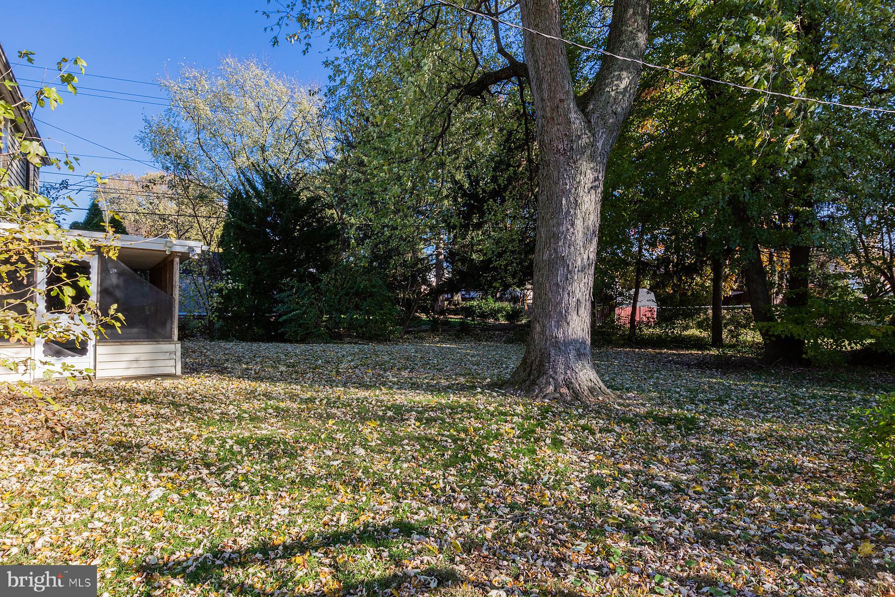 760 Blue Grass Road Lancaster, PA 17601 - Photo 53 of 61 .25 acre backyard has mature trees