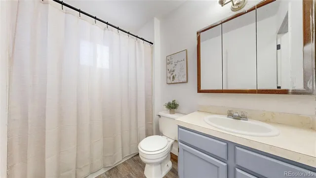 a bathroom with a sink a toilet and shower curtain