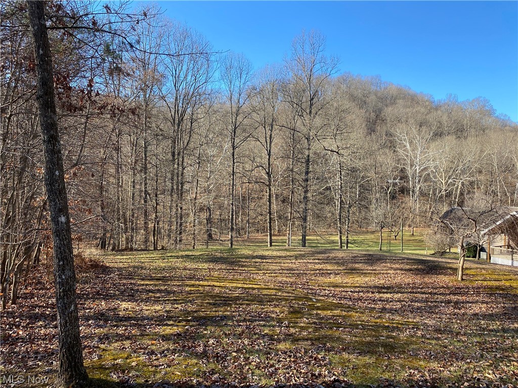 2008 Goose Creek Road Petroleum, WV 26161 - Photo 34 of 35 View of mother earth's splendor