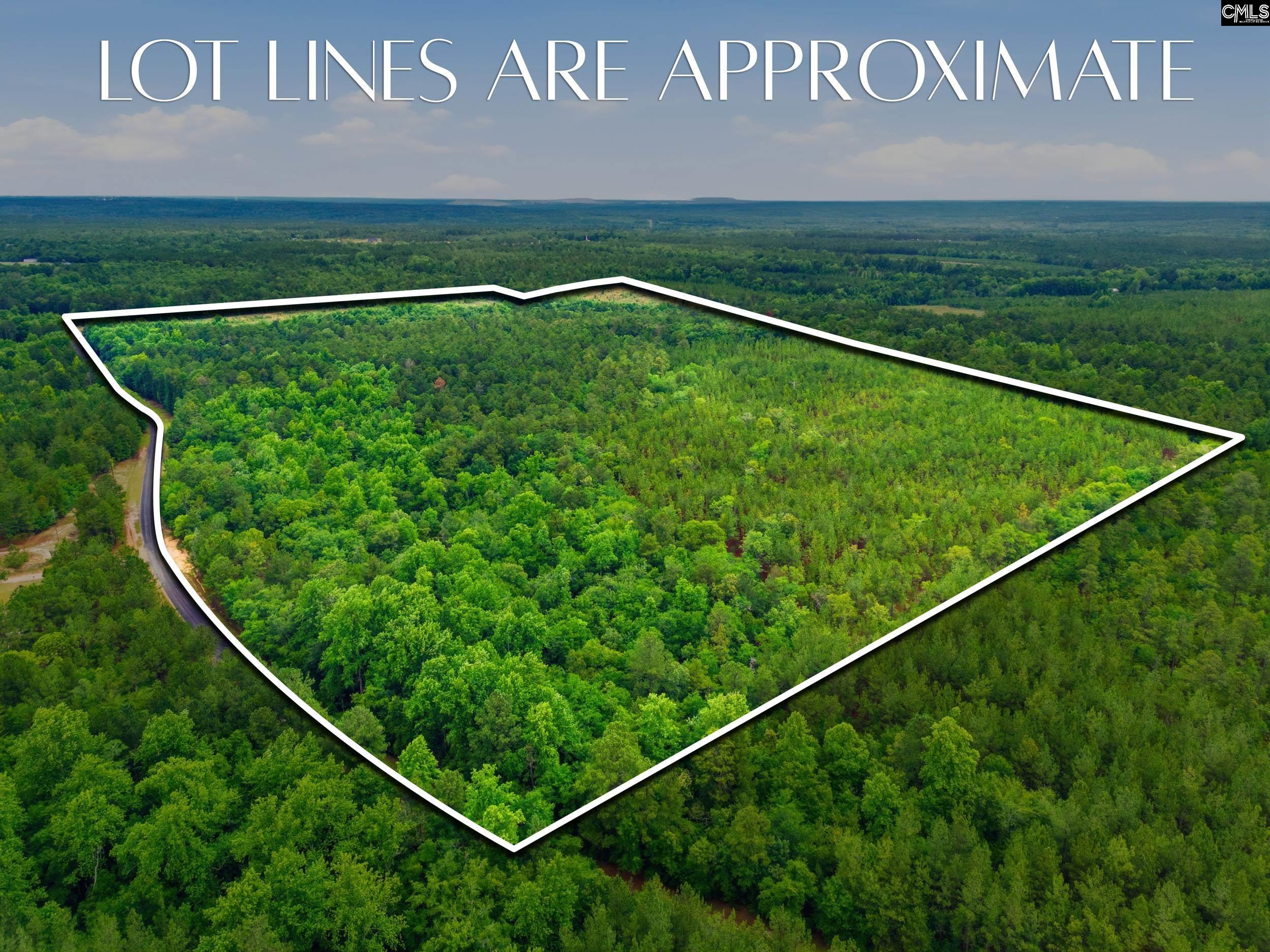3390 State Rd S-28-496 Kershaw, SC 29067 - Photo 19 of 26