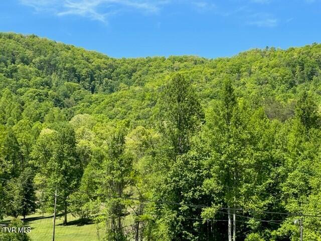 1438 Ely Town Road Pennington Gap, VA 24277 - Photo 5 of 35 Pix. 10