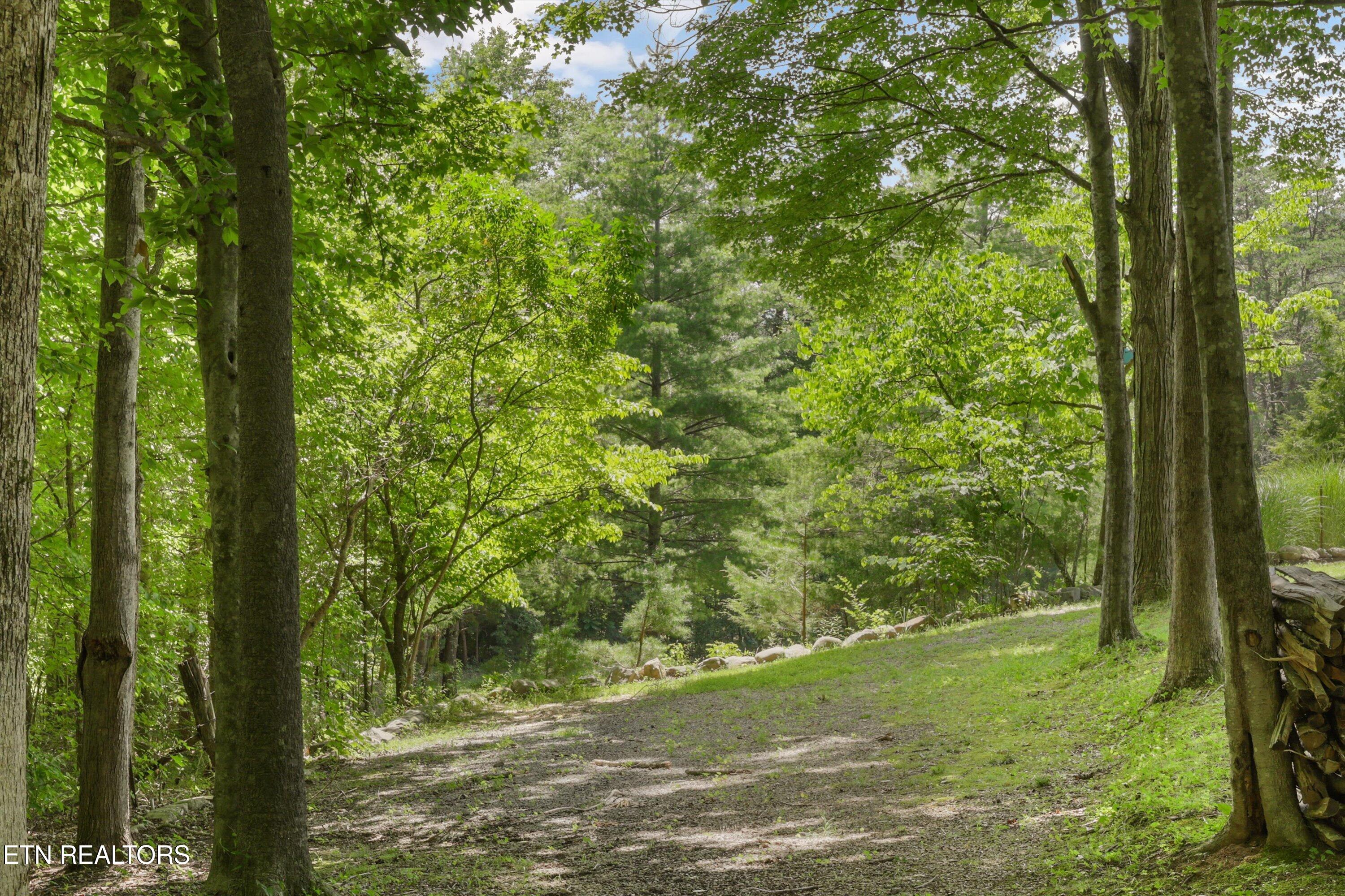 3924 Rocky Branch Road Walland, TN 37886 - Photo 50 of 59 47-3924 Rocky Branch Rd58