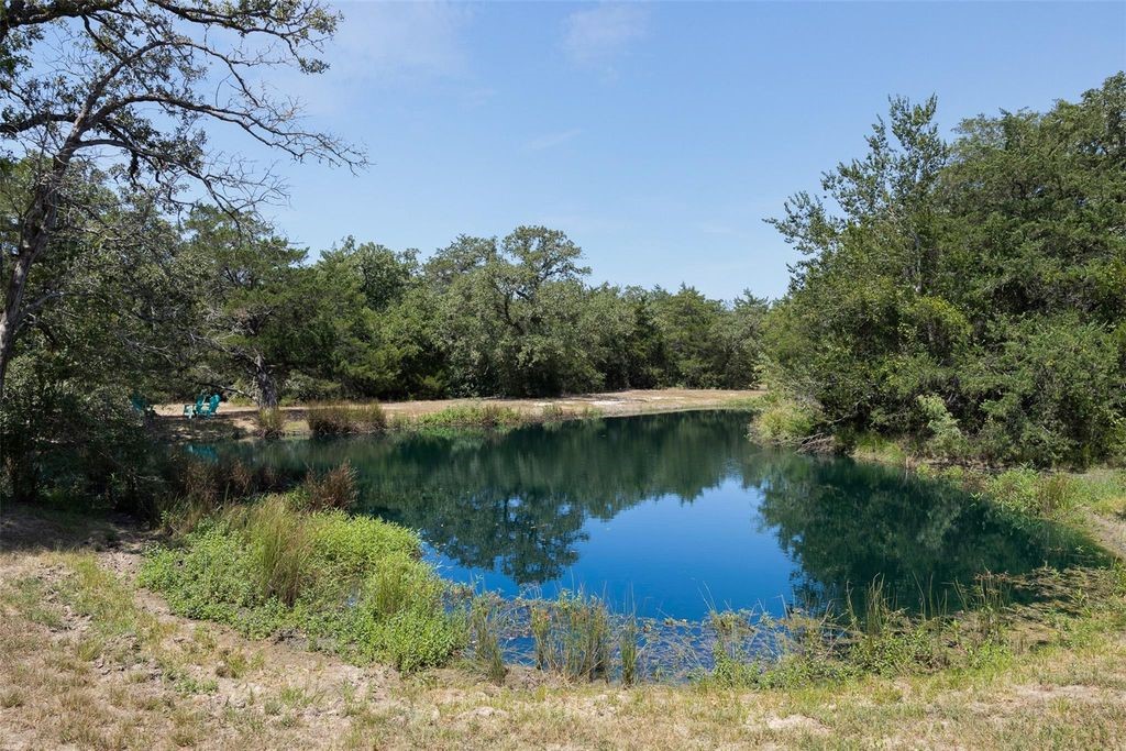 10791 Roy Road Flatonia, TX 78941 - Photo 6 of 29 Gallery Image 6
