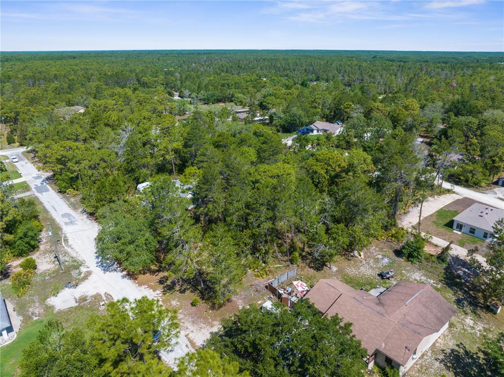0 Carrie Way Weeki Wachee, FL 34613 - Photo 3 of 9 an aerial view of residential houses with outdoor space and trees
